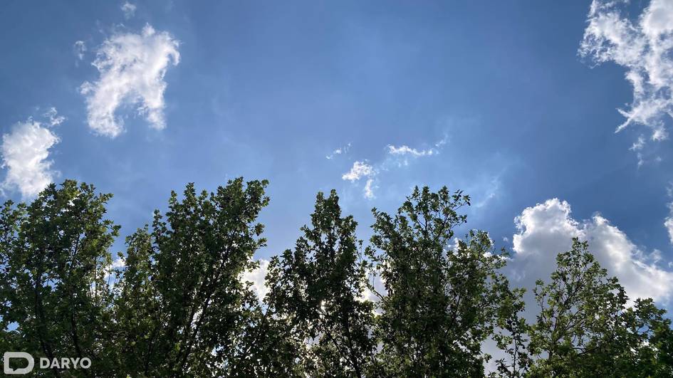 Ўзбекистонда ҳафта ёғингарчиликсиз ўтиши кутилмоқда